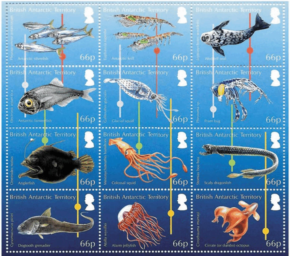 0800vaep-b378-940x831.png