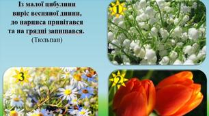 Ознайомлення з природнім довкіллям «Такі різні квіти»