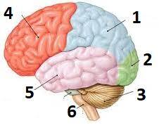 0800vdm4-11a9-226x185.jpg