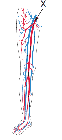 0800verc-aee7-214x482.png