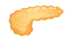 0800vexw-d938-249x164.png