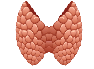 0800vf46-60f0-302x222.png