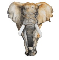 0800vf7t-75df-204x210.png