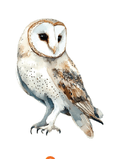 0800vf81-6c5d-164x225.png