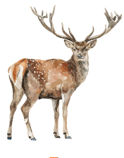 0800vf9z-3529-176x225.png