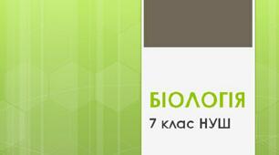 § 41. Прокаріоти. Особливості бактерій. Взаємовигідні відносини між бактеріями, рослинами та грибами
