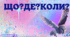 Інтелектуально-розважальна гра ЩО?ДЕ?КОЛИ?