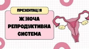 Презентація на тему "Будова жіночої статевої системи"
