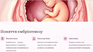 Ембріогенез людини