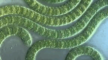 0800vnra-5750-277x154.png
