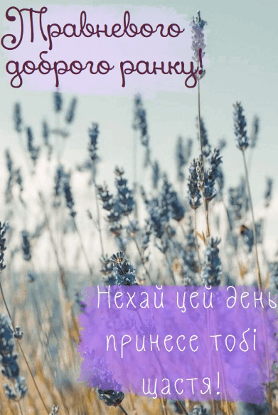 0800vow7-ceba-391x583.png