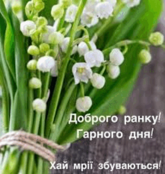 0800vpau-fd65-553x583.png