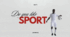 Презентація на Урок "DO YOU LIKE SPORT", на основі підручника Англійська мова (10-й рік навчання, рівень стандарту) Карпюк О. Д