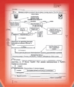 0800vsof-5b2e-145x171.png