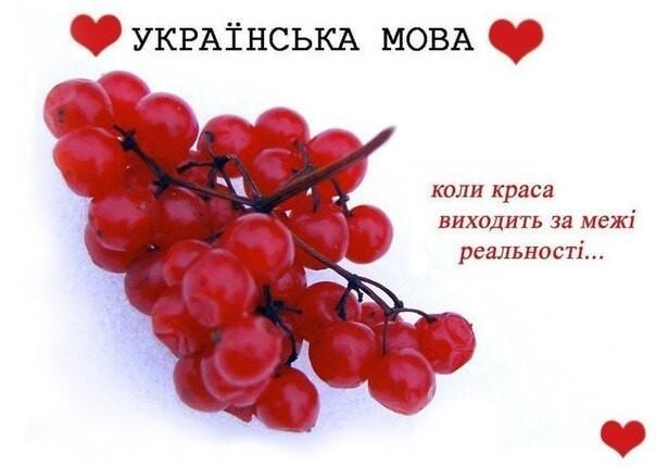 0800vxss-4823-604x429.jpg