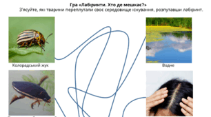 Лабіринт. Хто де мешкає? Середовище існування