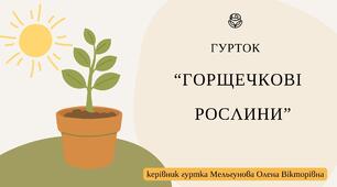 Складання   план-схеми озеленення  інтер'єрів   кімнат, коридорів , кабінетів з рослинами.