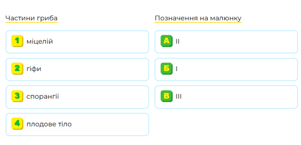 0800vziu-89bc-607x292.png
