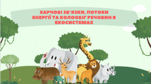 презентація до уроку біології (9 клас) — "Харчові зв’язки, потоки енергії та колообіг речовин в екосистемах"