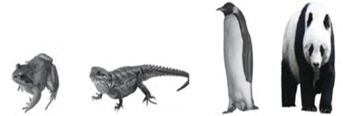 0800w3gk-4f78-379x128.png