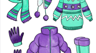 Module 8. Clothes