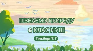  Що таке рух та які бувають рухи.