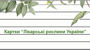 Картки для дослідження "Лікарські рослини"