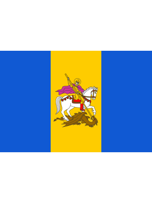 0800wcho-5d36-300x400.png
