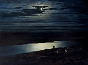 0800wdaw-5816-261x194.png