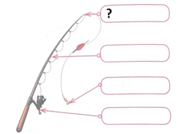 0800we57-6a98-391x284.png