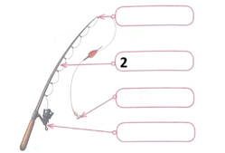 0800we5m-77c4-409x277.png