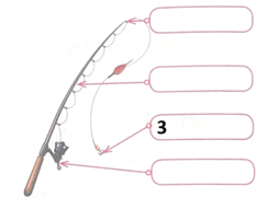 0800we5s-984b-398x284.png