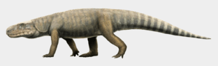 0800we6n-65af-312x95.png
