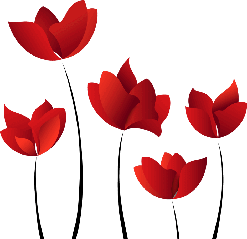 0800wf38-3600-940x908.png