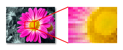 0800wigq-148e-422x174.png