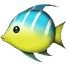 0800wklo-80ca-67x67.png