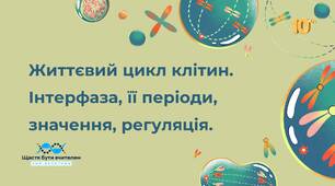 Життєвий цикл клітин. Інтерфаза, її періоди, значення, регуляція.