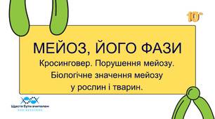 МЕЙОЗ, ЙОГО ФАЗИ.