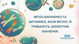МІТОЗ (КАРІОКІНЕЗ ТА ЦИТОКІНЕЗ). ФАЗИ МІТОЗУ, ЇХ ТРИВАЛІСТЬ, БІОЛОГІЧНЕ ЗНАЧЕННЯ.