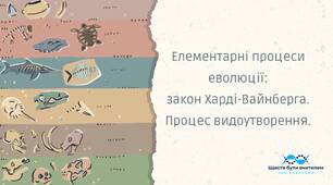 Елементарні процеси еволюції:  закон Харді-Вайнберга. Процес видоутворення.