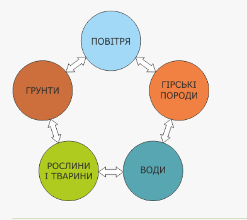 0800wpn9-d9e3-510x454.png