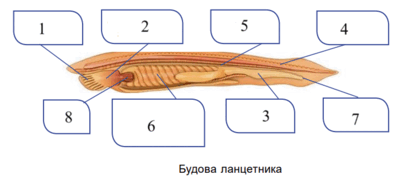0800wt94-d7be-417x180.png