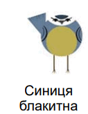 0800wu79-4829-127x165.png