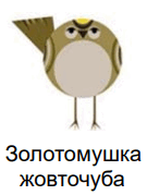 0800wudh-d89d-135x179.png