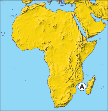 0800wwf0-0cfd-352x360.png