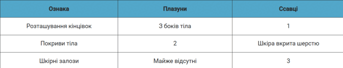 0800wxif-3e1b-689x138.png
