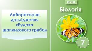 Лабораторне дослідження "Будова шапинкового гриба". Біологія 7 клас НУШ