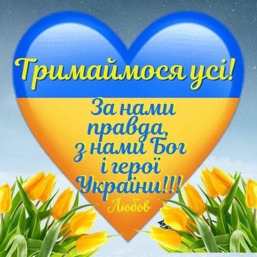 0800x0fk-00fa-500x500.jpg