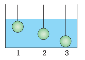 0800x1fl-c113-332x236.png