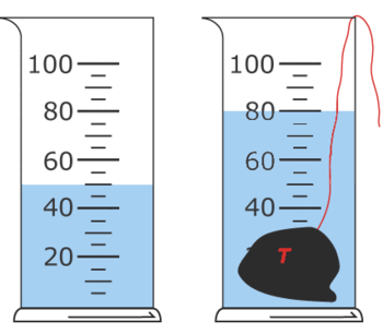 0800x2u0-51c7-350x306.png